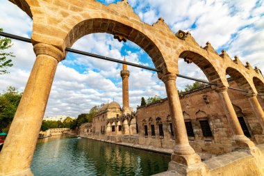 Şanlıurfa 'daki Balikligol (Balık Gölü). Halil-ur Rahman Gölü ve Rizvaniye Camii manzaralı. Sanliurfa 'da en çok ziyaret edilen yer Balikligol..