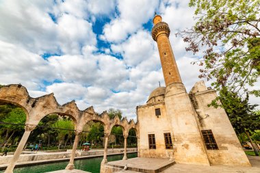 Şanlıurfa 'daki Balikligol (Balık Gölü). Halil-ur Rahman Gölü ve Rizvaniye Camii manzaralı. Sanliurfa 'da en çok ziyaret edilen yer Balikligol..