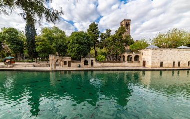 Şanlıurfa 'daki Balikligol (Balık Gölü). Halil-ur Rahman Gölü ve Rizvaniye Camii manzaralı. Sanliurfa 'da en çok ziyaret edilen yer Balikligol..