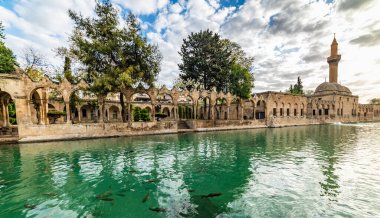 Şanlıurfa 'daki Balikligol (Balık Gölü). Halil-ur Rahman Gölü ve Rizvaniye Camii manzaralı. Sanliurfa 'da en çok ziyaret edilen yer Balikligol..