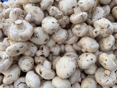 Beyaz mantarlar. Pazar yerinde sergilenen mantarlar.