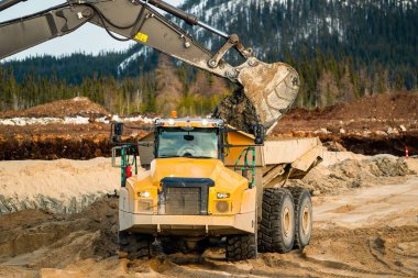 Ormandaki bir inşaat sahasında kazıcı kullanarak çöplüğe toprak yüklemek.