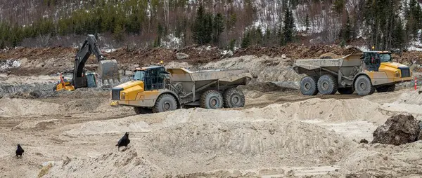 Bir kazıcının yükleme alanında iki damperli kamyon