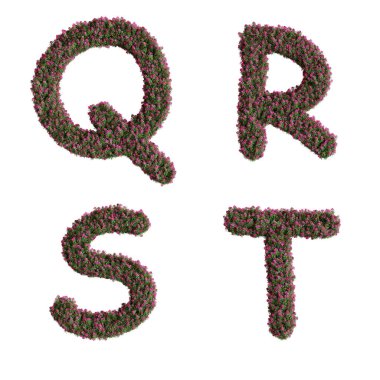 3D rendering of Nerium oleander flowers alphabet - letters Q-T
