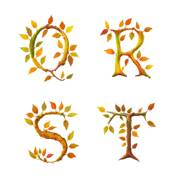 秋叶树字母表样式的3D图解 字母Q — 图库照片