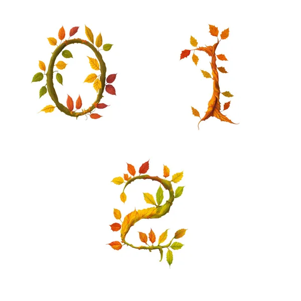 様式化された秋の葉の木のアルファベットの3Dイラスト 数字0 — ストック写真