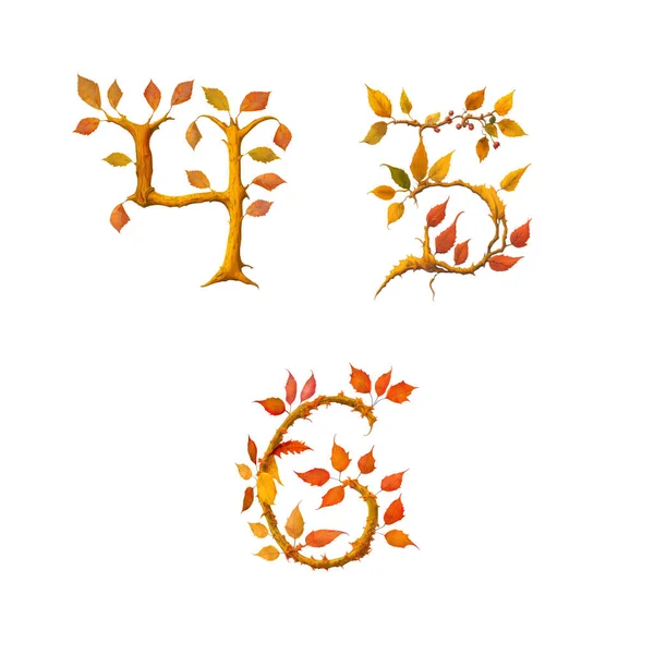 Illustration Stylized Autumn Leaf Tree Alphabet Digits — Stock Photo, Image