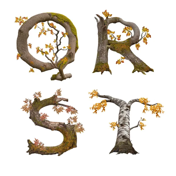旧秋树字母表的3D图解 字母Q — 图库照片