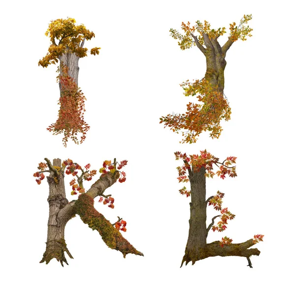 旧秋树字母表的3D图解 字母I — 图库照片
