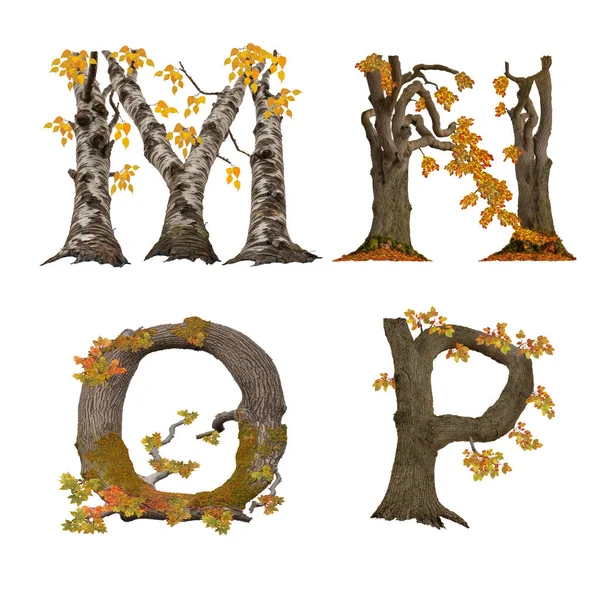 古い秋の木のアルファベットの3Dイラスト — ストック写真