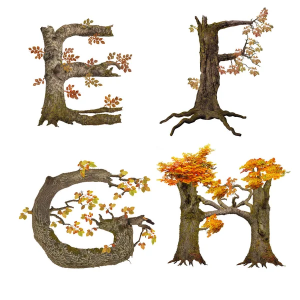 古い秋の木のアルファベットの3Dイラスト — ストック写真