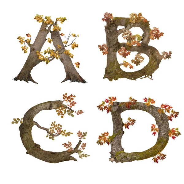 Ilustracja Starego Alfabetu Jesiennego Drzewa Litery — Zdjęcie stockowe