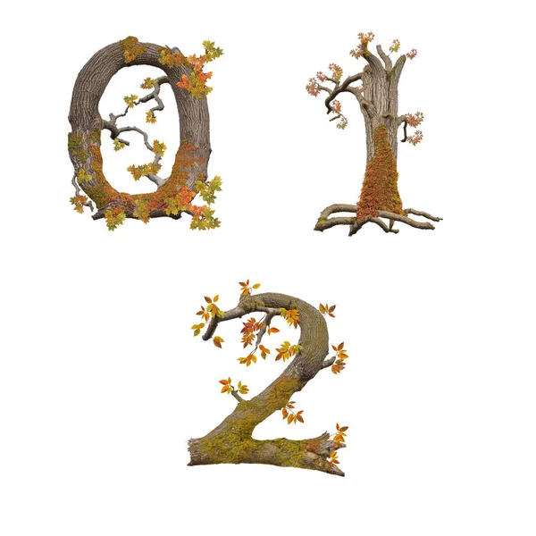 旧秋树字母表3D图解 数字0 — 图库照片