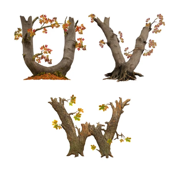 Eski Sonbahar Ağacı Alfabesinin Çizimi Harfleri — Stok fotoğraf