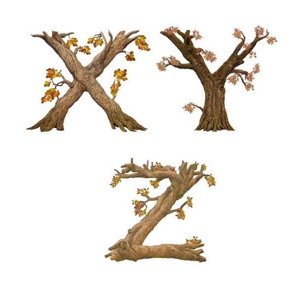 Illustratie Van Oude Herfstboom Alfabet Letters — Stockfoto