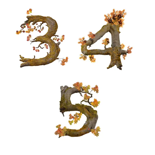 Ilustração Alfabeto Antigo Árvore Outono Dígitos — Fotografia de Stock