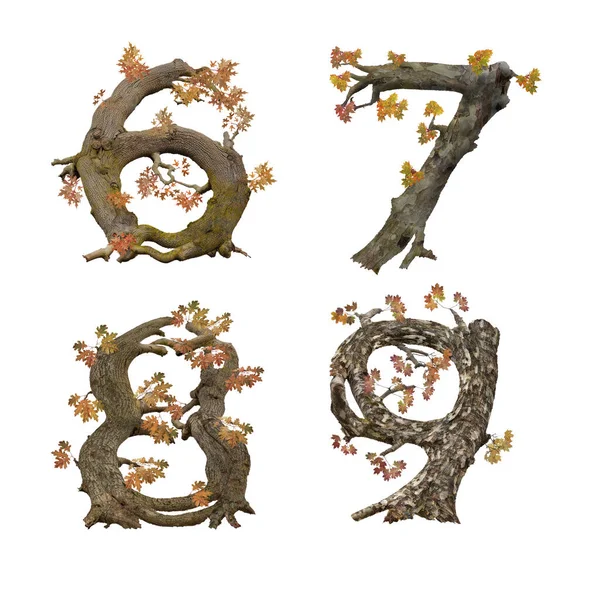 Illustration Old Autumn Tree Alphabet Digits — Stock Photo, Image