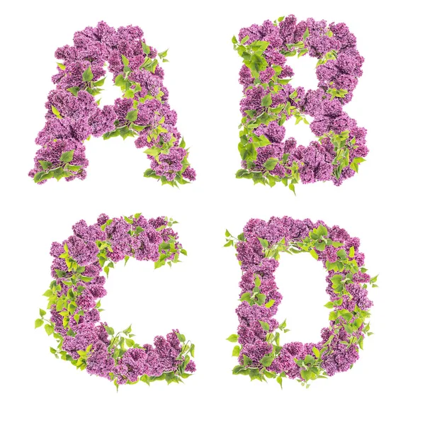 3D rendering of Lilac flowers capital letters alphabet - letters A-D