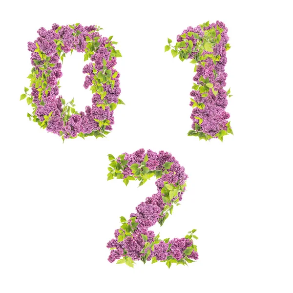 Representación Del Alfabeto Letras Mayúsculas Flores Lila Dígitos — Foto de Stock