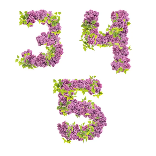 Рендеринг Лиловых Цветов Заглавными Буквами Алфавита Цифры — стоковое фото