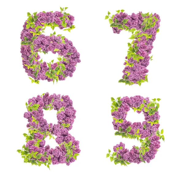 Vykreslování Abecedy Květin Lilac Velkými Písmeny Číslice — Stock fotografie