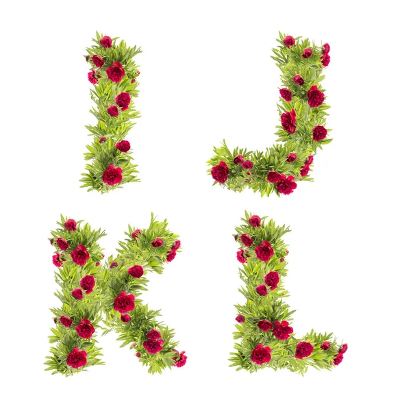 Peony Çiçeklerinin Boyutlu Çizimi Büyük Harf Alfabesi Harfleri — Stok fotoğraf