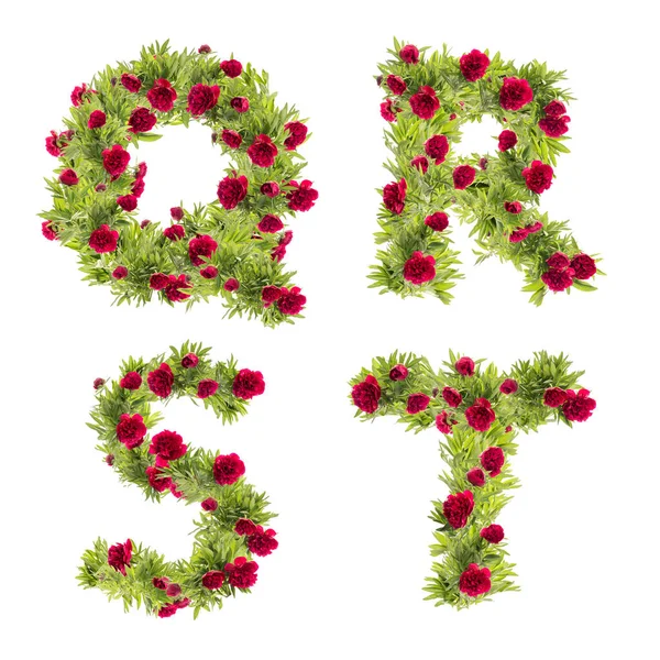 3D illustration of Peony flowers capital letter alphabet - letters Q-T