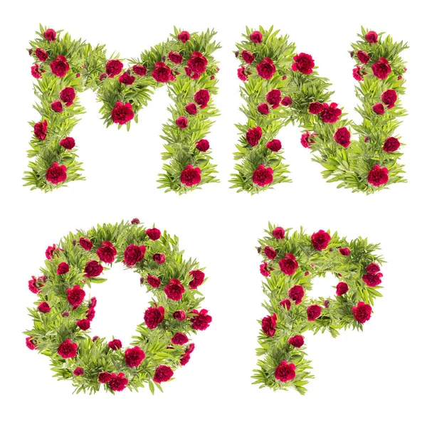 Illustration Peony Flowers Capital Letter Alphabet Letters — Stock Photo, Image