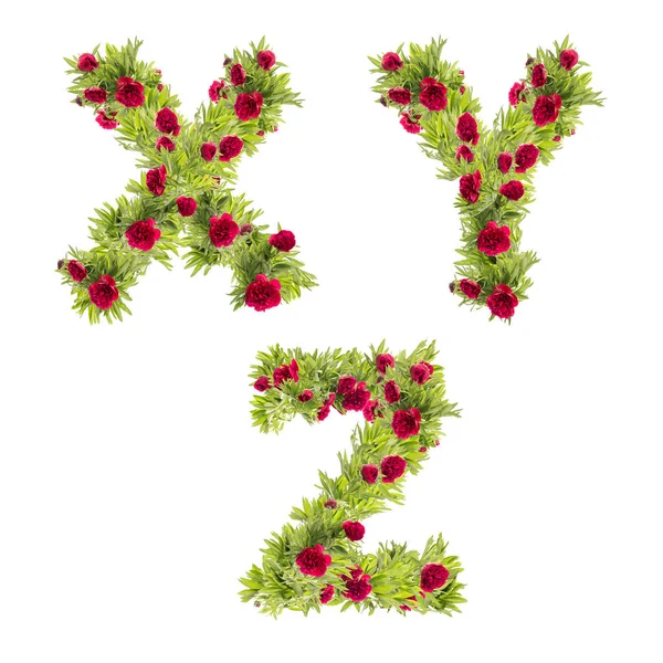 牡丹花大写字母字母的3D图解 字母X — 图库照片