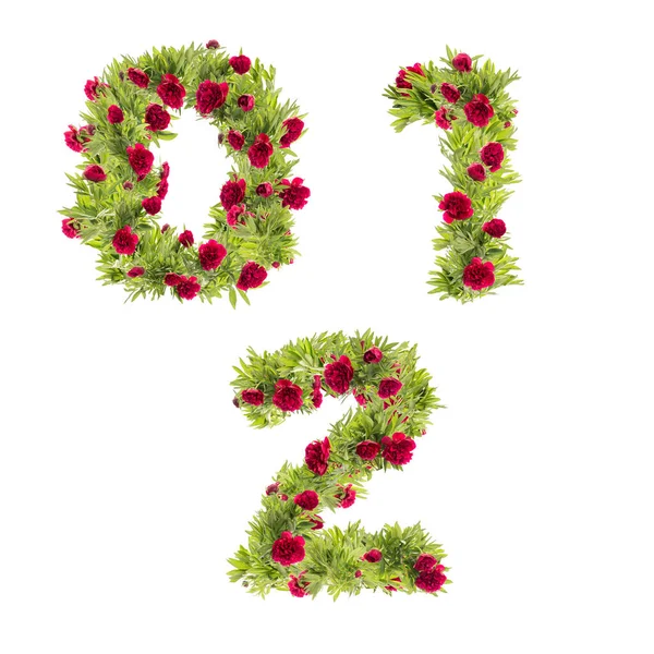 Illustratie Van Pioenenbloemen Hoofdletter Alfabet Cijfers — Stockfoto
