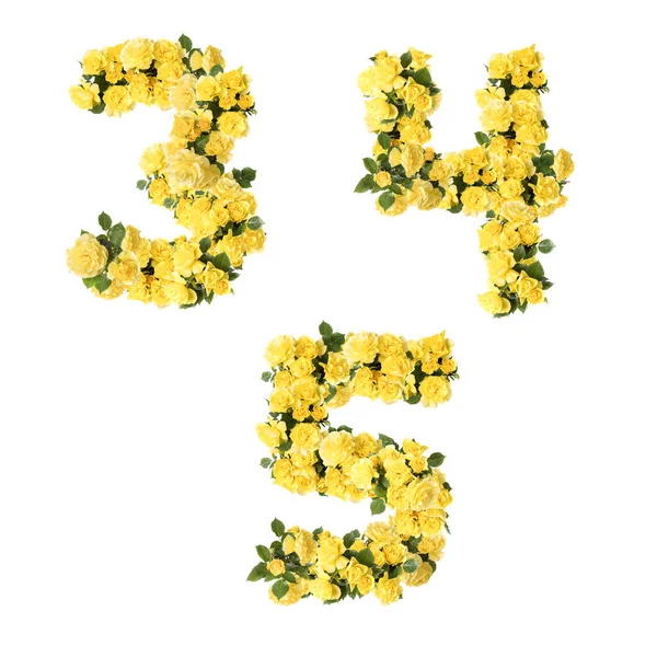 Ilustracja Żółte Kwiaty Róży Alfabet Duże Litery Cyfry — Zdjęcie stockowe