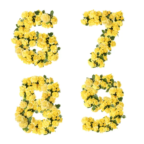 Illustration Yellow Rose Flowers Capital Letter Alphabet Digits — Stock Photo, Image