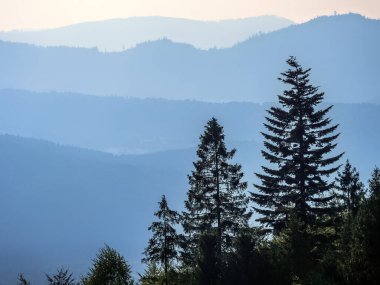 Polonya 'nın Hala Boracza kentinden Beskid Zywiecki Dağları' na panoramik manzara