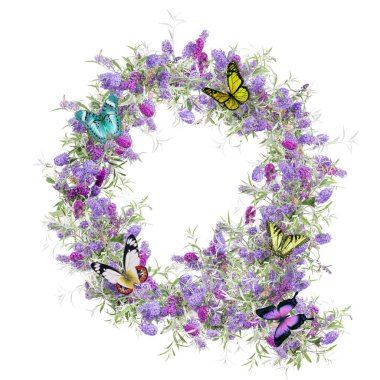 Vahşi çiçeklerin resmi büyük harf alfabesi - Q harfi