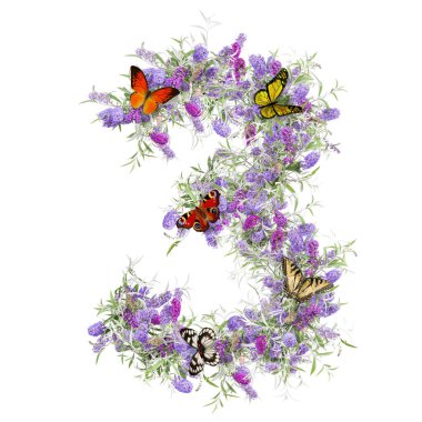 Vahşi çiçek alfabesinin gösterimi - 3 basamaklı