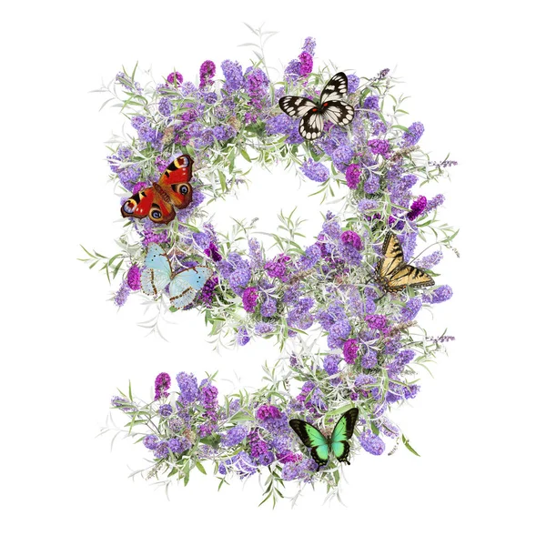Illustration Wild Flowers Alphabet Digit — Stock Photo, Image