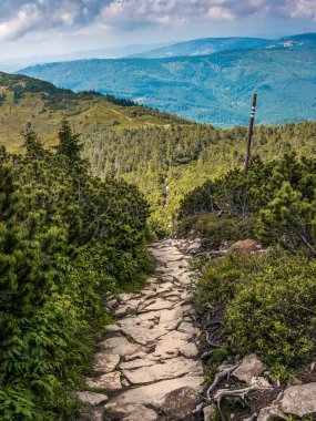 Babia Dağı Tepesi 'nden Markowe Szczawiny, Beskid Zywiecki Dağları, Polonya' ya giden bir turizm rotası.