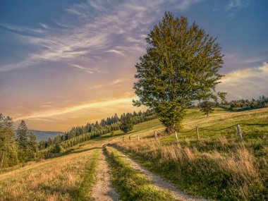 Beskid Zywiecki Dağları 'nda bir köy yolu gün batımında Polonya' da vuruldu.