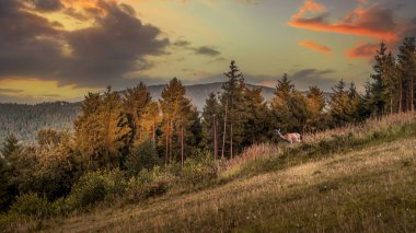 Beskid Zywiecki 'ye gün batımında panoramik bir manzara, Polonya