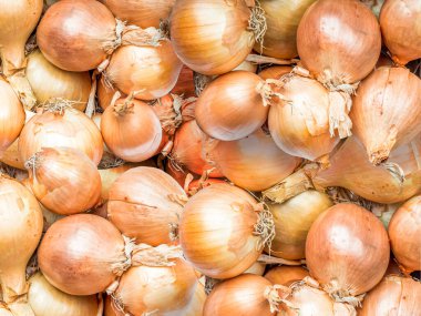 Yukarıdan atılan soğan başları yığını