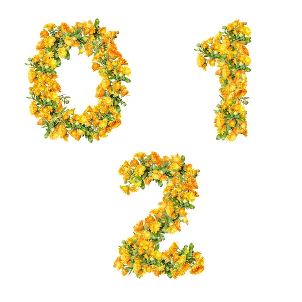 Illustration Set Pod Marigold Flowers Capital Letter Alphabet Digits — Stock Photo, Image