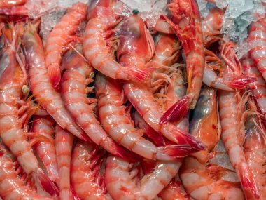 Taze gıda pazarı çok çeşitli taze balık ve deniz ürünleri sunuyor - burada taze karides, Murci, İspanya