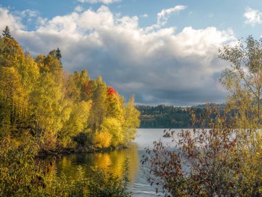 Dramatik gökyüzünün altında, altın ve rusbatık ağaçların bulunduğu büyüleyici sonbahar manzarası düşüşün doğadaki güzelliğinin özünü yakalıyor.