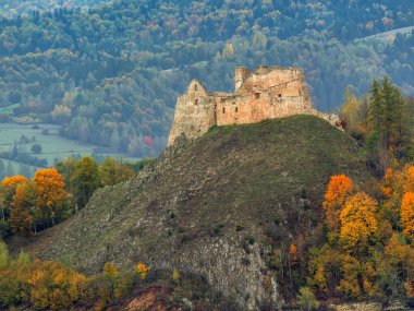Polonya 'nın renkli yeşillikleriyle dolu canlı bir sonbahar ormanının ortasında görkemli bir şekilde duran tarihi şatonun resimsel kalıntıları.