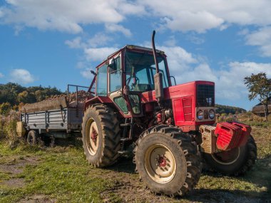 Kırsal bir tarlada park etmiş patateslerle dolu bir römorku olan kırmızı bir traktör.