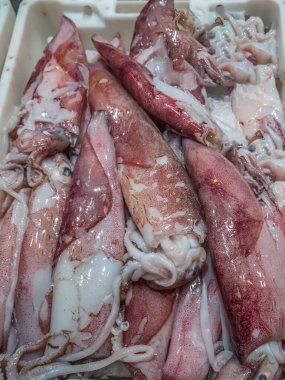 Yerel balık ve deniz gıda pazarında taze mürekkep balıkları, Murci, İspanya