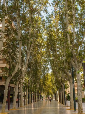 Gran Via Alfonso X el Sabio İspanya 'nın Murcia şehrinde bir bulvar.