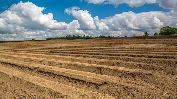 Bulutlu gökyüzüne karşı ufuk çizgisine kadar sürülen alan