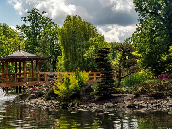 Ahşap bir çardağı, yemyeşil bir havuzu ve dingin bir göleti olan huzurlu bir Japon bahçesi. Huzur ve ahengi yayarak meditasyon ve rahatlama için mükemmel bir ortam oluşturuyor.