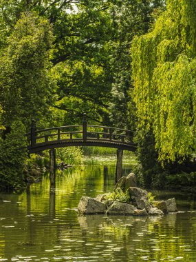 Bereketli yeşil bitki örtüsü ve sarmaşık kaplı ağaçlarla çevrili, huzurlu bir göletin üzerinde uzanan ahşap bir köprünün yer aldığı sakin bir manzara huzur verici ve cennet gibi doğal bir ortam yaratıyor.